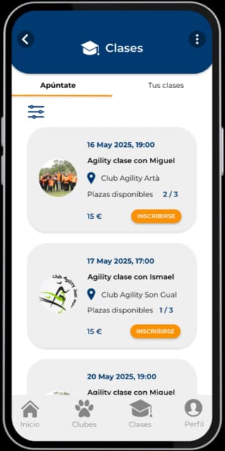Search for classes and clubs